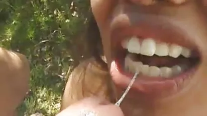 El rojo perra se colegialas xxx calientes tira sobre la naturaleza de crustáceos