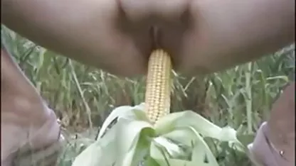 Por favor, chupar mi videos calientes videos calientes polla